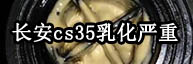 CS35黯