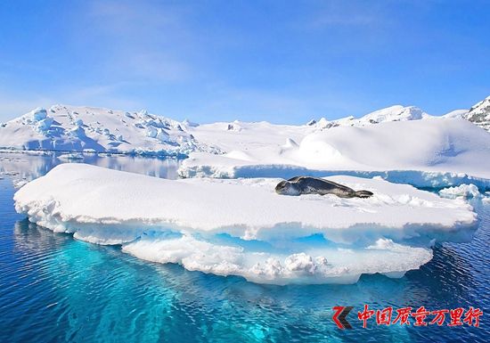 南极海豹。HHtravel鸿鹄逸游供图