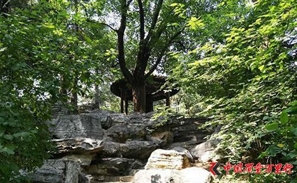 北大古钟被游客刻字:内壁上有英文韩文