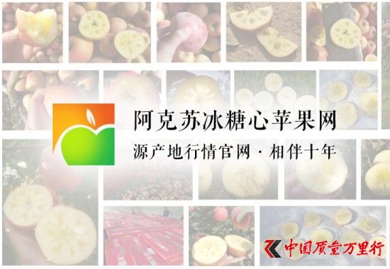 “阿克苏冰糖心苹果网”阿克苏源产地行情官网服务三农十周年