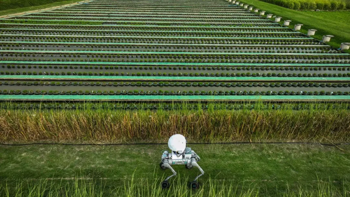 ����AI���Ի����ˡ�ϤϤ��ʵ����������