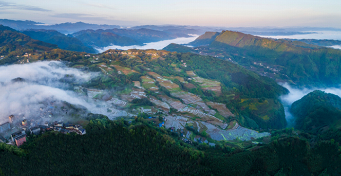 ����ҺΨ���˱����� Դ�����������ġ����Ի���