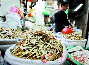 板蓝根贵过非典时 不排除有炒作嫌疑