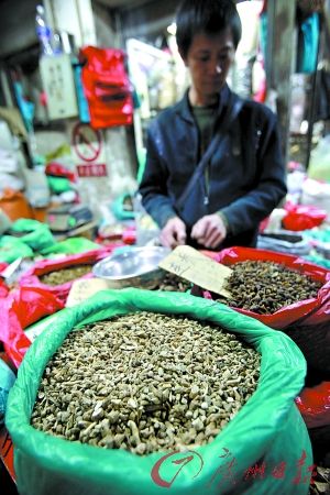 板蓝根贵过非典时 不排除有炒作嫌疑