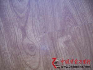 ʥ��ذ�Ƶ��Ͷ��  ��˾�����ŵ�Ѷ���