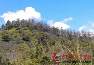 �㶫4���մ���ҵ��ȾǧĶũ�� ���ܷ���װ�����豸