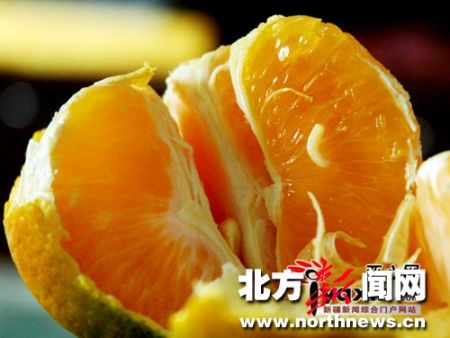 郑州西安等地出现带蛆柑橘农业部要求全国监控