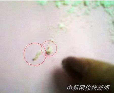 画圈处为从奶粉中挑出的虫子。 画圈处为从奶粉中挑出的虫子。
