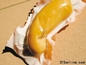 热狗肠内发现有异物(见圈中)。