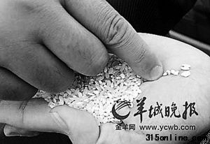 “河粉专用米”来自于陈仓、变质、发霉米粮。