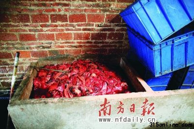 发臭猪肉泡在池中。 发臭猪肉泡在池中。