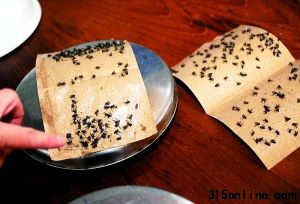 不少苍蝇在猪头肉上飞舞。 不少苍蝇在猪头肉上飞舞。