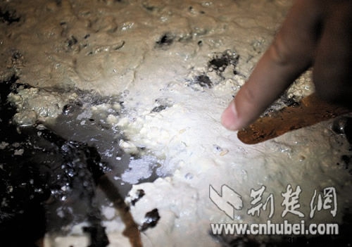 图为:臭豆腐缸里还有蛆在蠕动