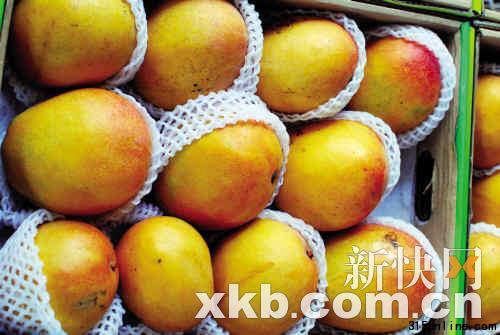 ■记者在海南买的芒果与所谓“进口澳芒”相差无异。张晓丹/摄 ■记者在海南买的芒果与所谓“进口澳芒”相差无异。张晓丹/摄