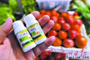 蔬菜滥用催熟剂现象值得关注。这是记者在合肥农资市场买到的“乙烯利”植物生长调节剂(7月17日摄)。新华社 发 蔬菜滥用催熟剂现象值得关注。这是记者在合肥农资市场买到的“乙烯利”植物生长调节剂(7月17日摄)。新华社 发