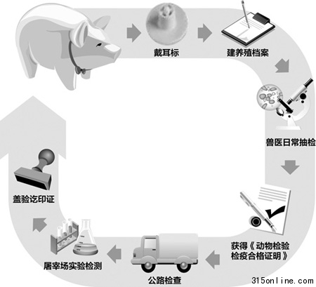 记者还原猪肉生产全过程:怎么饲养如何检疫