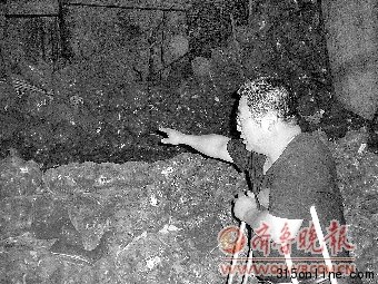 贸易公司被曝贱卖遭百吨氨气污染洋葱流向不明