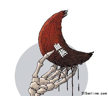 图/CFP 图/CFP