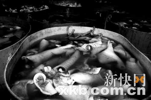 ■浸泡在化学溶液里的食材。 ■浸泡在化学溶液里的食材。