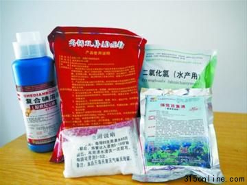 记者在巴城渔药店买到的各种药物中,所谓的“补钙药”主要成分却是抗生素,一包洗蟹粉的包装袋上也没有标注产品名、生产厂家等信息。晨报记者 陈抒怡 现场图片