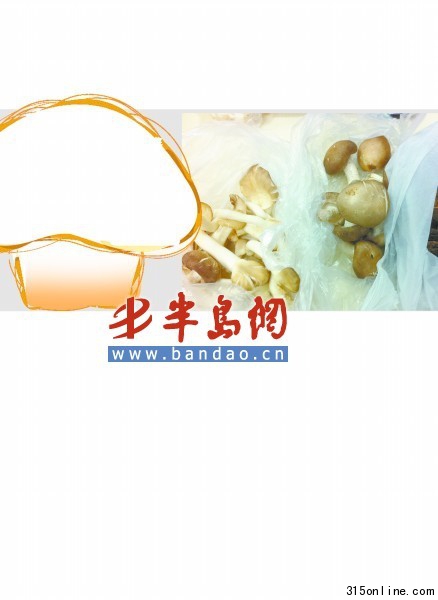 记者从市场上买回来的几种崂山蘑菇 记者从市场上买回来的几种崂山蘑菇