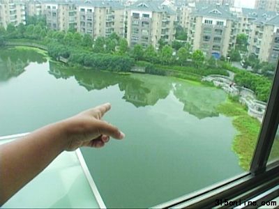 昨天江宁百家湖西南角再次出现“牛奶污水”。 昨天江宁百家湖西南角再次出现“牛奶污水”。