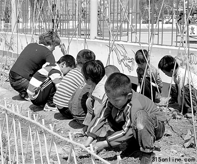 幼儿园高收费越来越贵入园难催生高收费