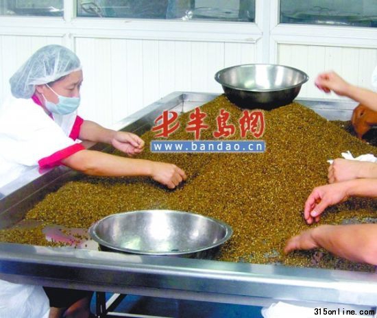 转自半岛网-城市信报。