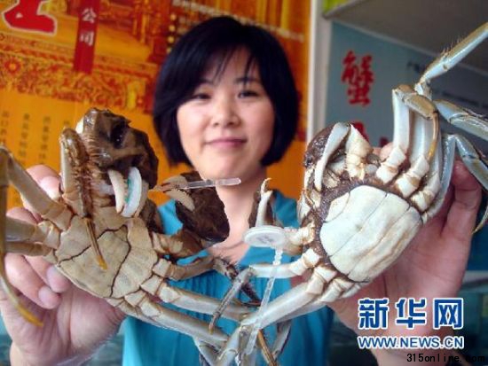 9月17日,苏州一家阳澄湖大闸蟹专卖店的工作人员展示新上市的大闸蟹。当日,苏州阳澄湖大闸蟹正式开始上市销售。据介绍,今年阳澄湖大闸蟹的价格较2010年同期有所上涨。 新华社发(王建康 摄)