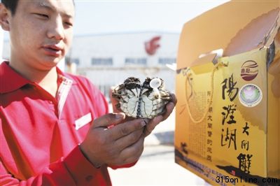 9月17日,首都机场货运站,工作人员在检查空运来的首批阳澄湖大闸蟹。当日,刚刚开始捕捞的阳澄湖大闸蟹空运到北京。 9月17日,首都机场货运站,工作人员在检查空运来的首批阳澄湖大闸蟹。当日,刚刚开始捕捞的阳澄湖大闸蟹空运到北京。