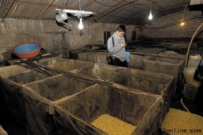 昨日,房山食品办、工商等多个执法部门对漂白豆芽黑作坊进行查处,现场发现多种添加物。本报记者 周岗峰 摄