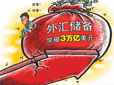 媒体称外汇储备应境外使用不适合无偿分给民众