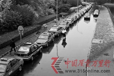 11月5日,早上6点至9点,北皋、马甸、德胜门桥下出租车交接班处停放着大量出租车。A12-A13版摄影 本报记者 周岗峰 王贵彬 孙纯霞