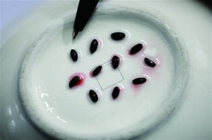 ߾ʵƺƺײ ҷ