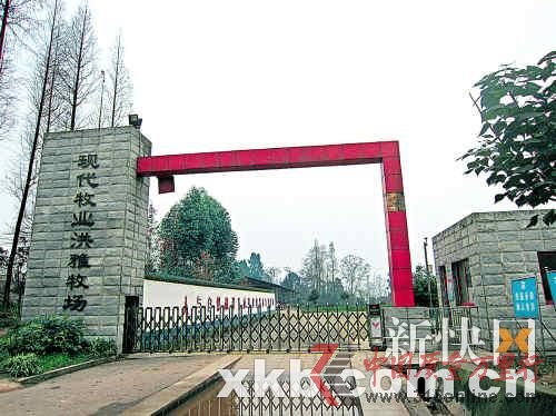 现代牧场也被业内视为“问题奶”最可疑的来源之一。(图片来源:新快报)