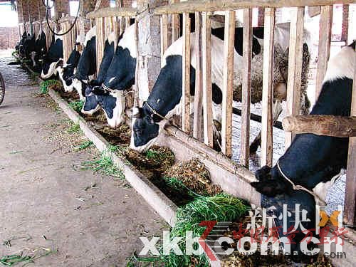 牧场无蒙牛驻站员,生产方无检测记录。