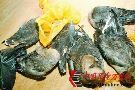 冷冻的大雁 冷冻的大雁
