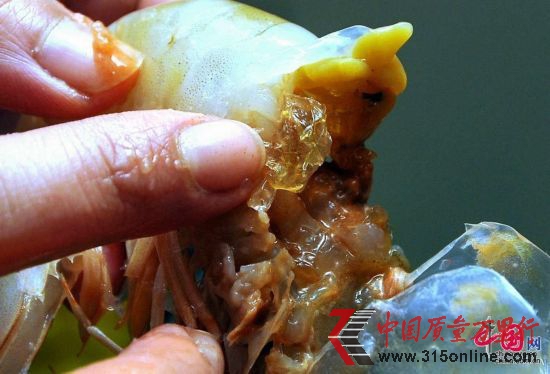 2012年02月07日,天津,消费者指着“注胶虾”的位置,在虾头和虾身之间的透明胶状物。摄影/李世琦(图片来源:中国网)