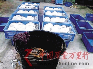 “康洁”碗筷消毒现场。 “康洁”碗筷消毒现场。