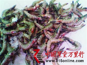 资料图片 资料图片
