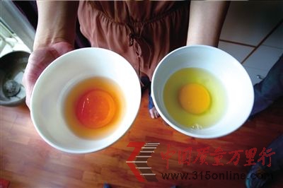 左为超市所购鸡蛋,呈红色,右为正常鸡蛋,呈黄色。本报实习记者赵恩泽摄