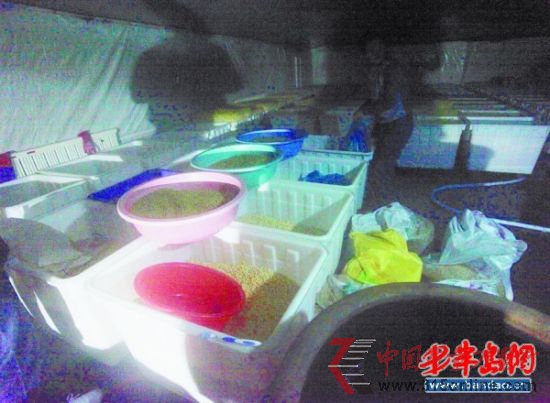 车间内脏乱不堪。 车间内脏乱不堪。