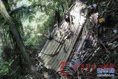 坠毁苏霍伊客机的一块残骸(资料图) 坠毁苏霍伊客机的一块残骸(资料图)