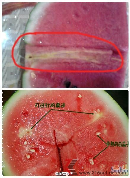 <b>网友所发疑似“打针西瓜”</b> <b>网友所发疑似“打针西瓜”</b>
