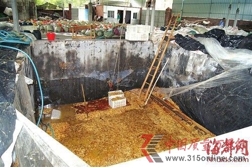 在这个数十平方米的大池子里,黑心商家用工业柠檬酸泡出了35吨金针菇 在这个数十平方米的大池子里,黑心商家用工业柠檬酸泡出了35吨金针菇