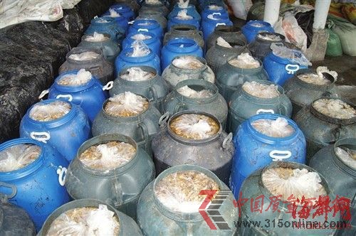 600多袋已加工好的金针菇被当场查封 600多袋已加工好的金针菇被当场查封