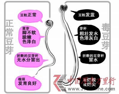 资料图片 资料图片
