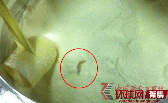 纽瑞滋奶粉中的活虫。
