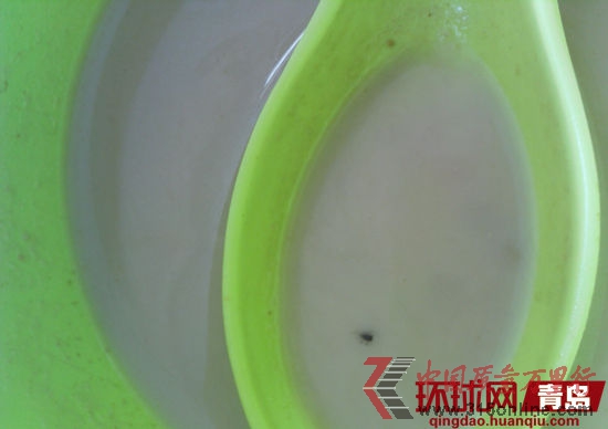 吉阿婆麻辣烫内的小虫 吉阿婆麻辣烫内的小虫