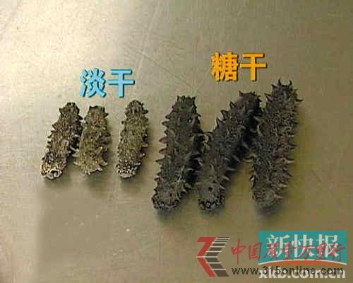 海参一斤数千元有的加了2两糖